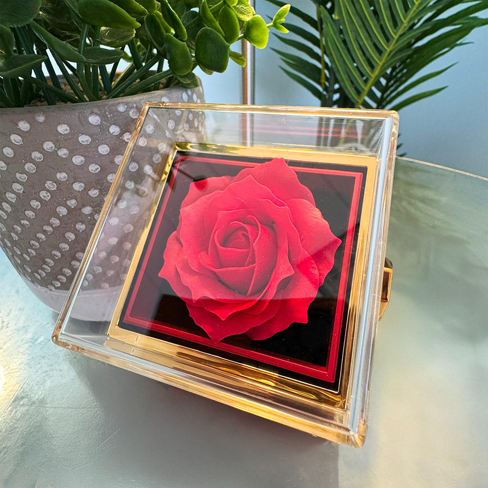 Grad Gift Set (Necklace + Free Eternal Rose + Gift Box)