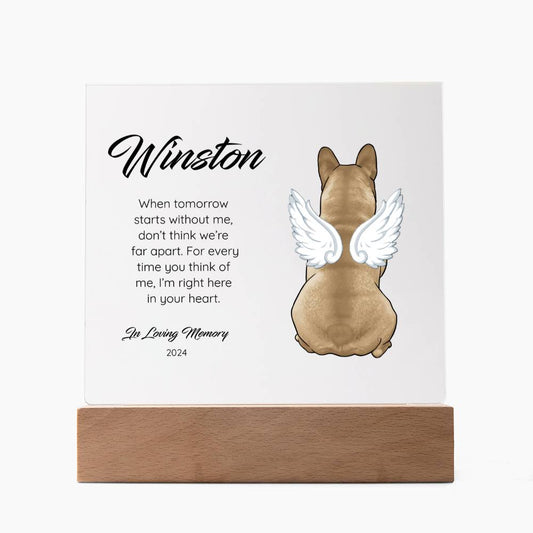 Frenchie - Memorial Acrylic