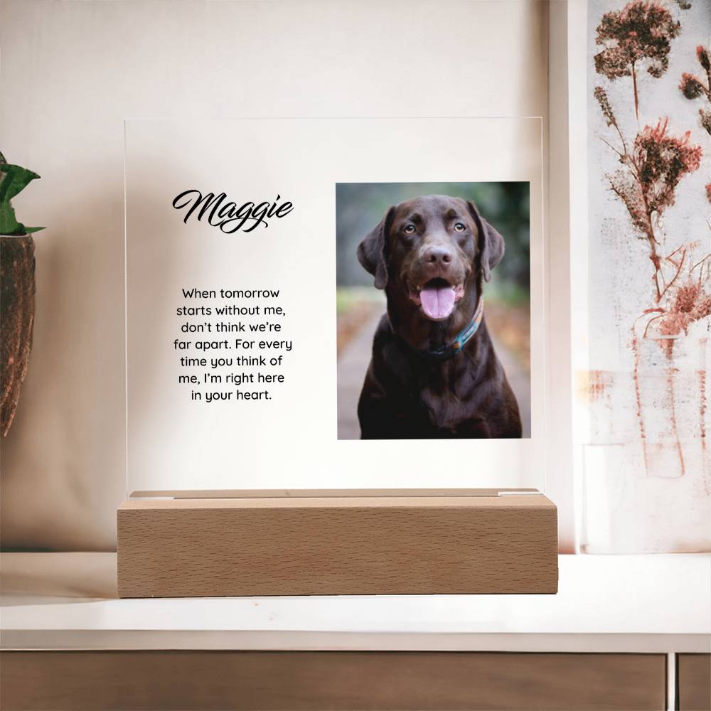 Acrylic Square Plaque