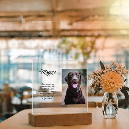 Acrylic Square Plaque