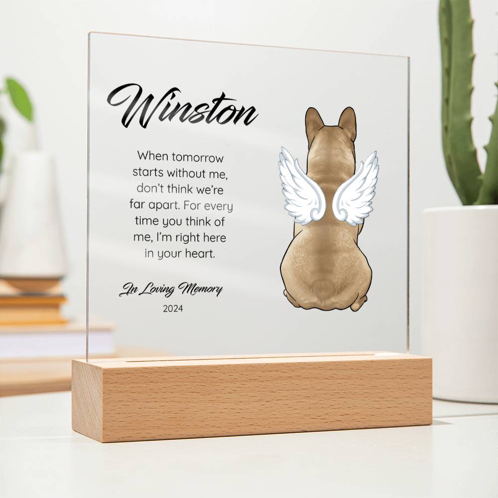 Frenchie - Memorial Acrylic