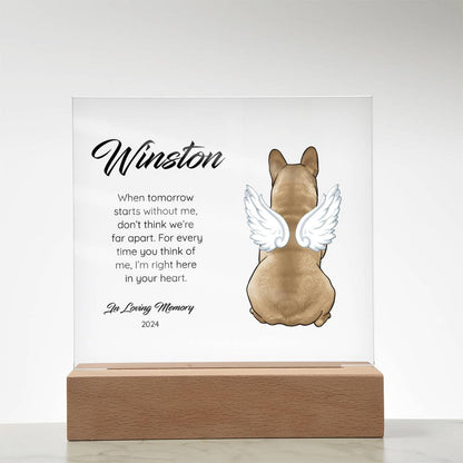 Frenchie - Memorial Acrylic