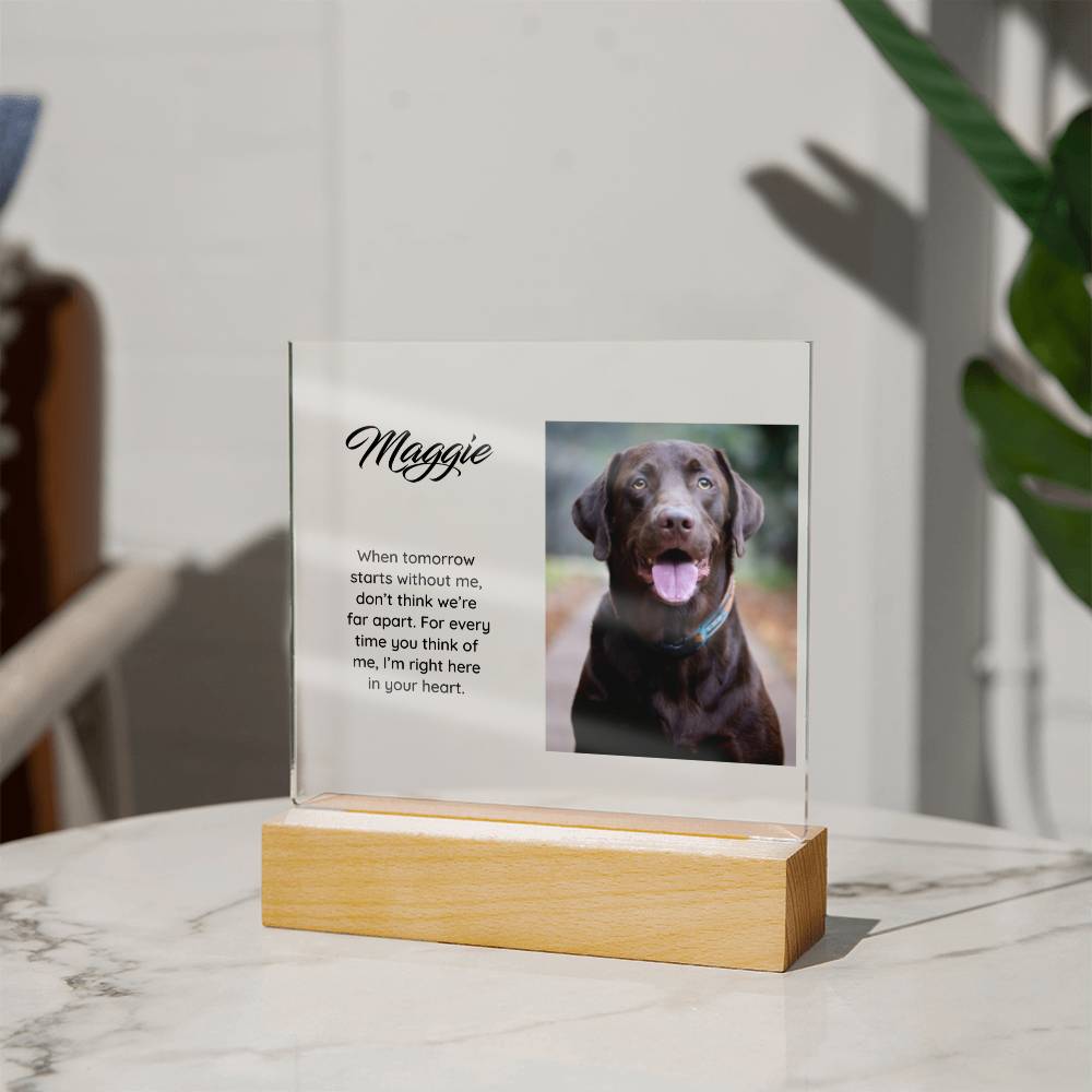 Acrylic Square Plaque