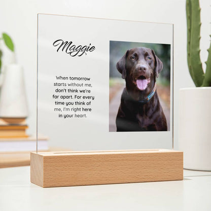 Acrylic Square Plaque