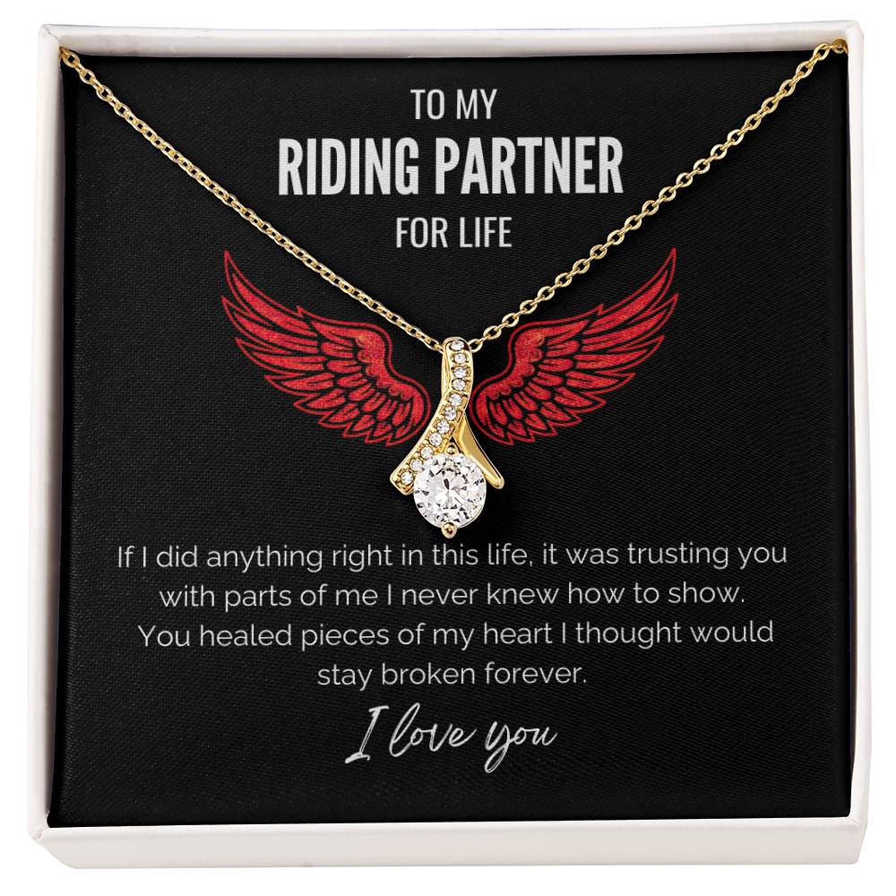 My Riding Partner -  Healed my heart