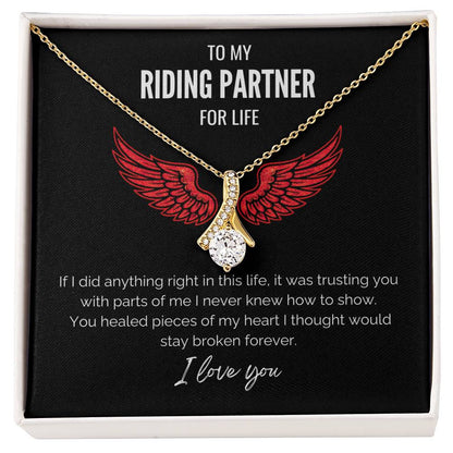 My Riding Partner -  Healed my heart