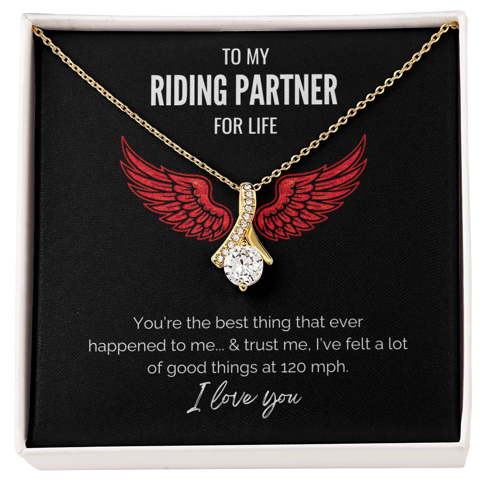 My Riding Partner - At 120 mph