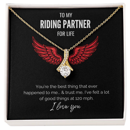 My Riding Partner - At 120 mph