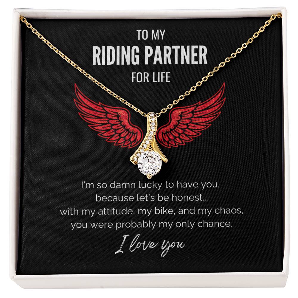 My Riding Partner - My only chance