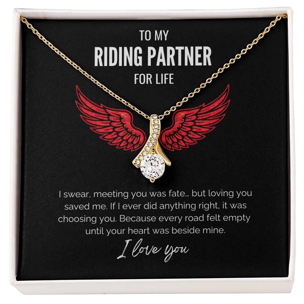 My Riding Partner - Saved me