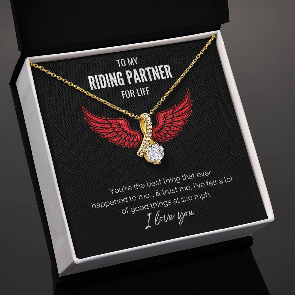 My Riding Partner - At 120 mph