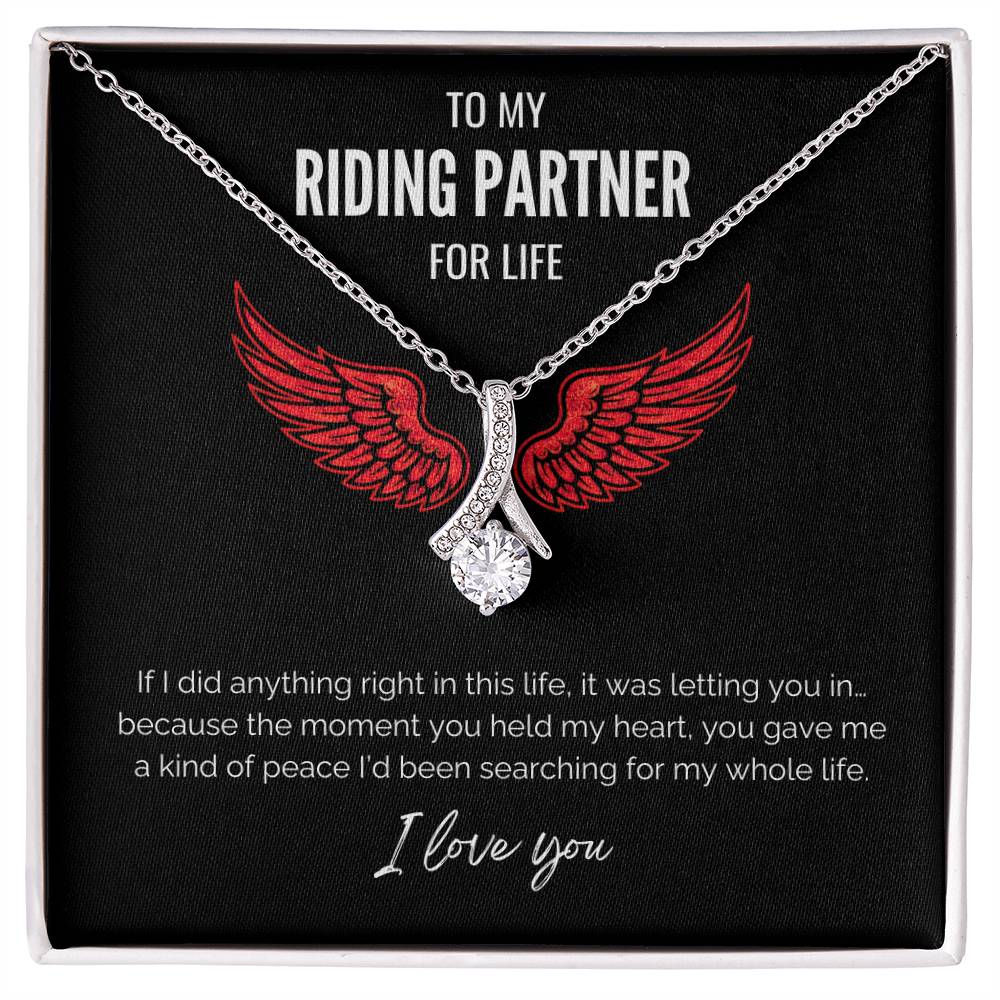 My Riding Partner - Gave me peace