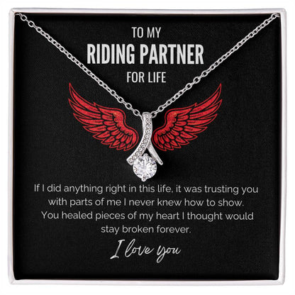 My Riding Partner -  Healed my heart