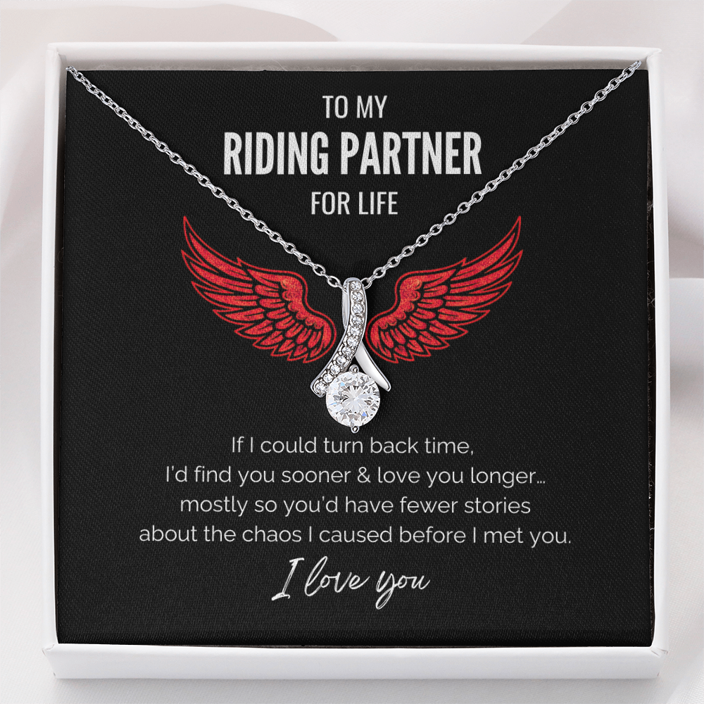 My Riding Partner - The chaos