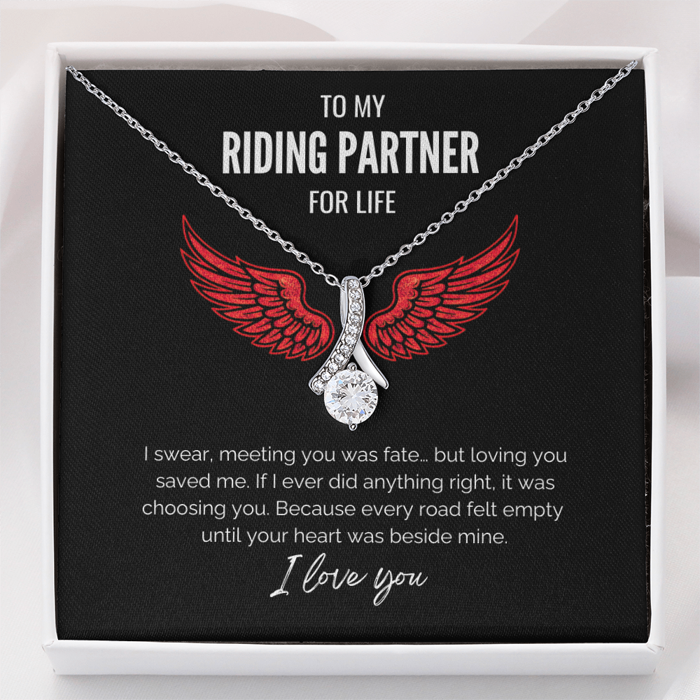 My Riding Partner - Saved me