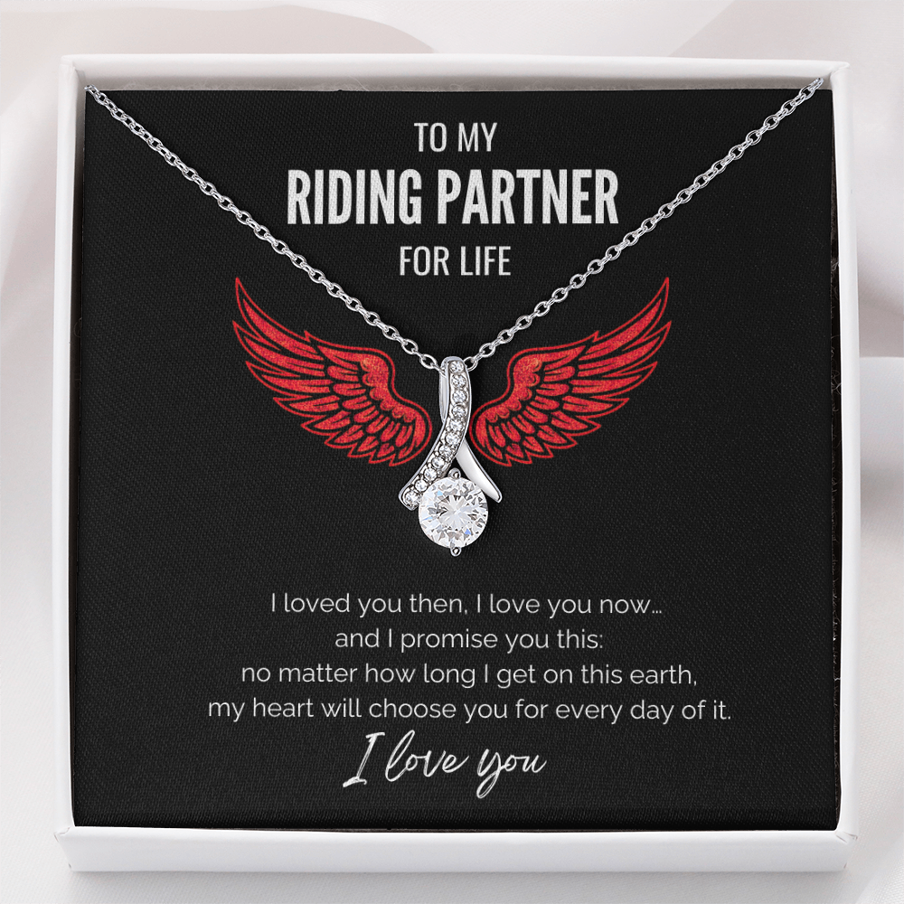 My Riding Partner - On this earth