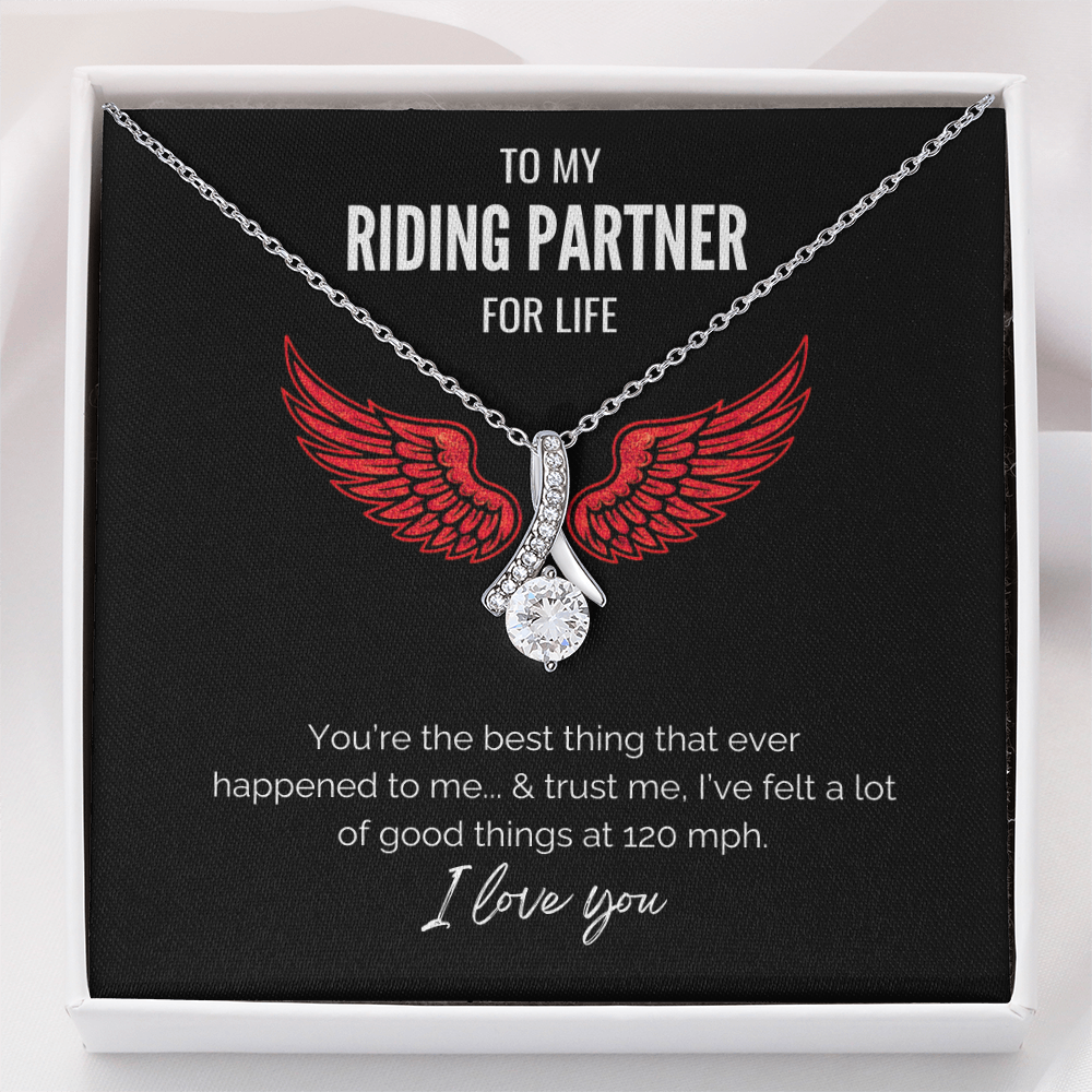 My Riding Partner - At 120 mph