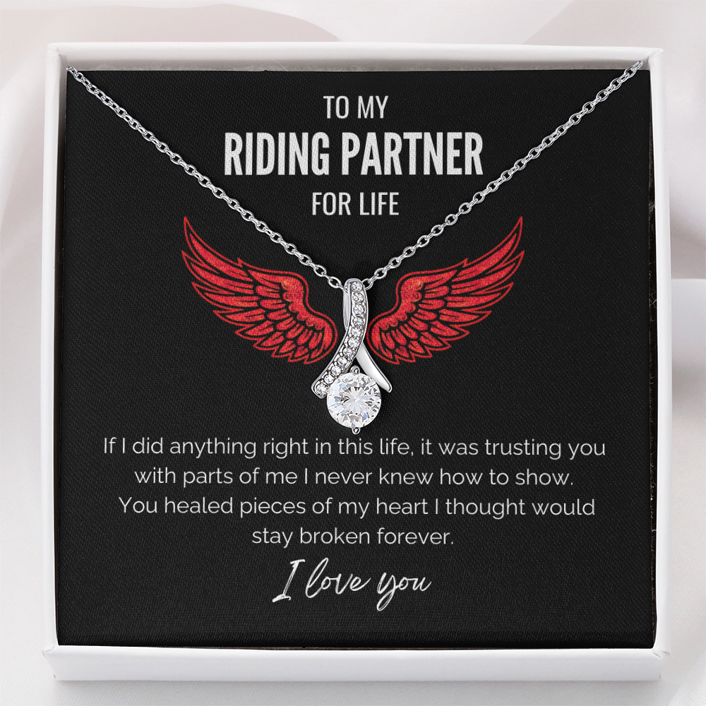 My Riding Partner -  Healed my heart