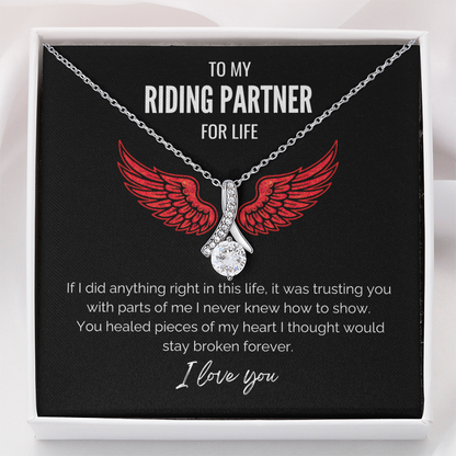 My Riding Partner -  Healed my heart