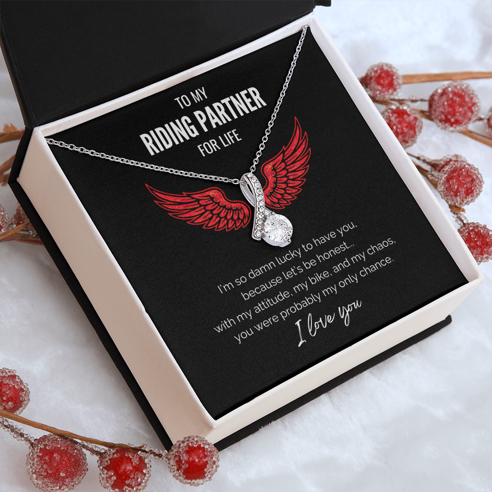 My Riding Partner - My only chance