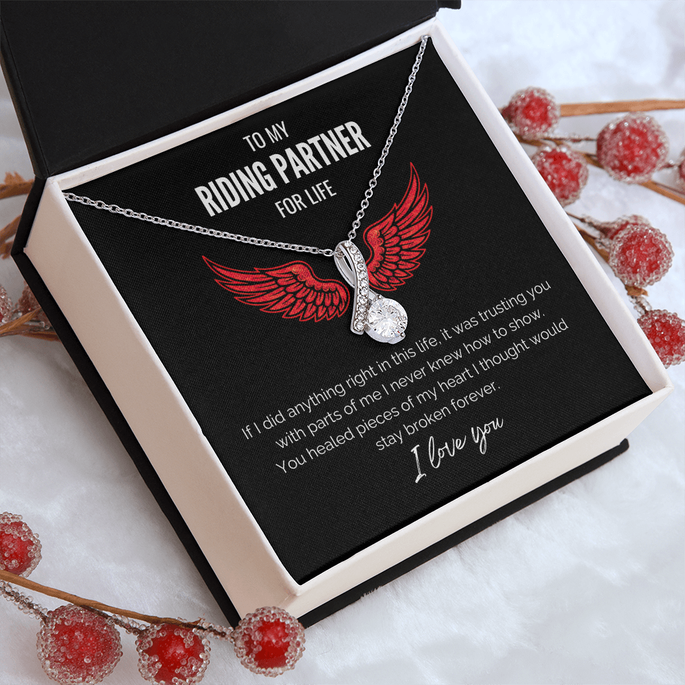 My Riding Partner -  Healed my heart