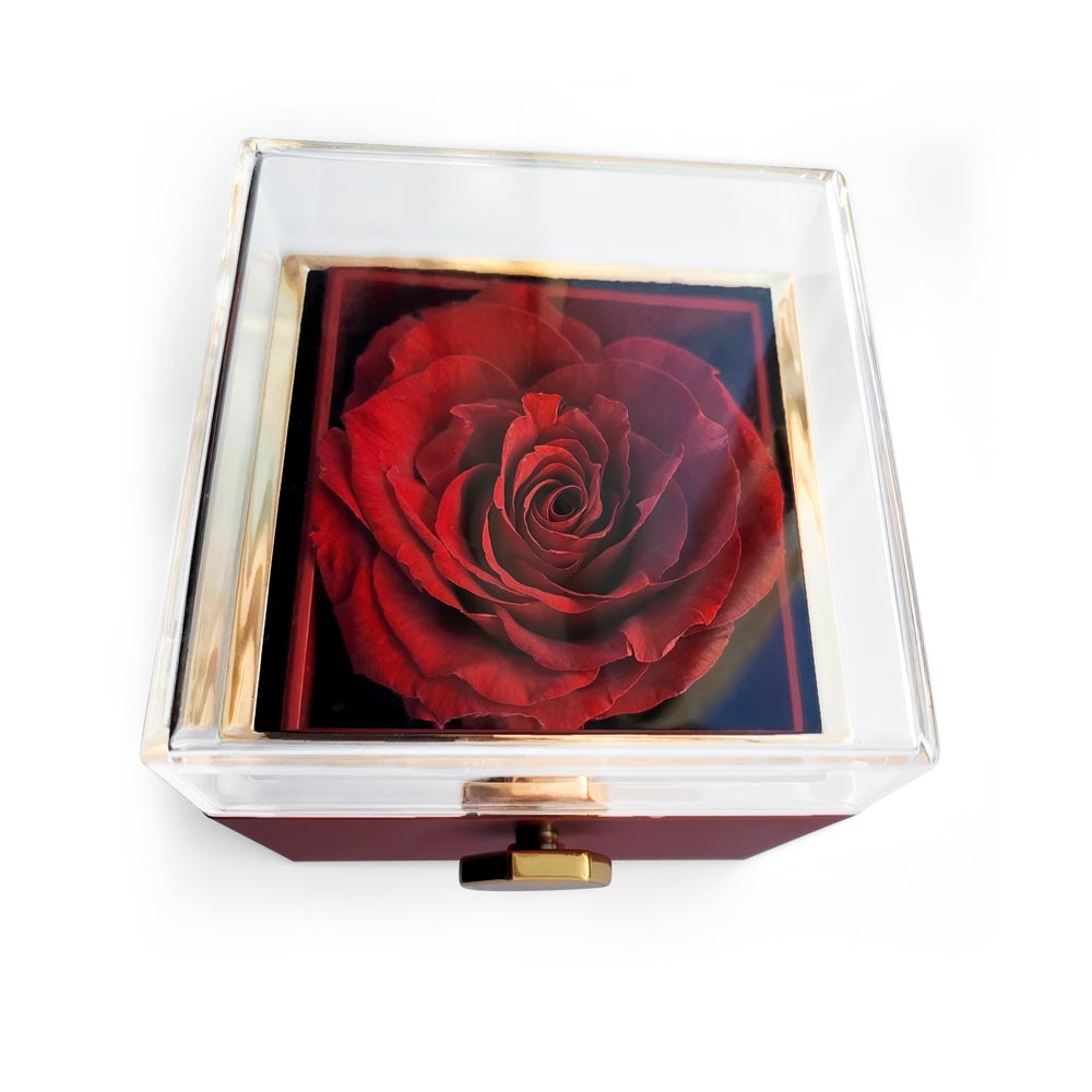 Grad Gift Set (Necklace + Free Eternal Rose + Gift Box)