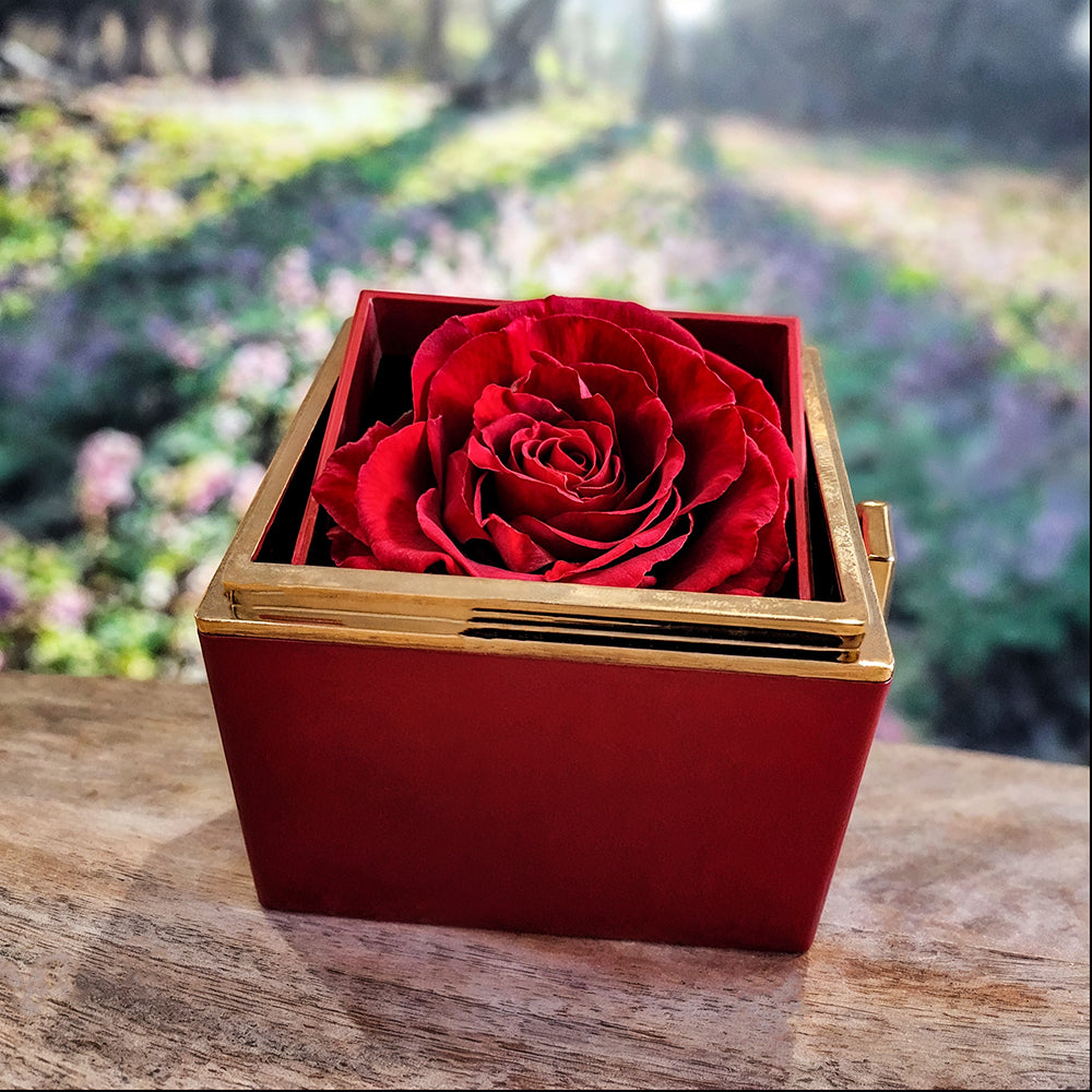 Grad Gift Set (Necklace + Free Eternal Rose + Gift Box)
