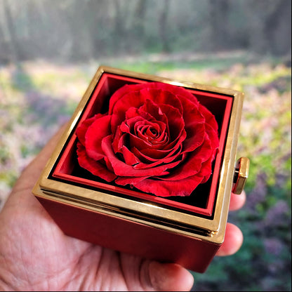 Grad Gift Set (Necklace + Free Eternal Rose + Gift Box)