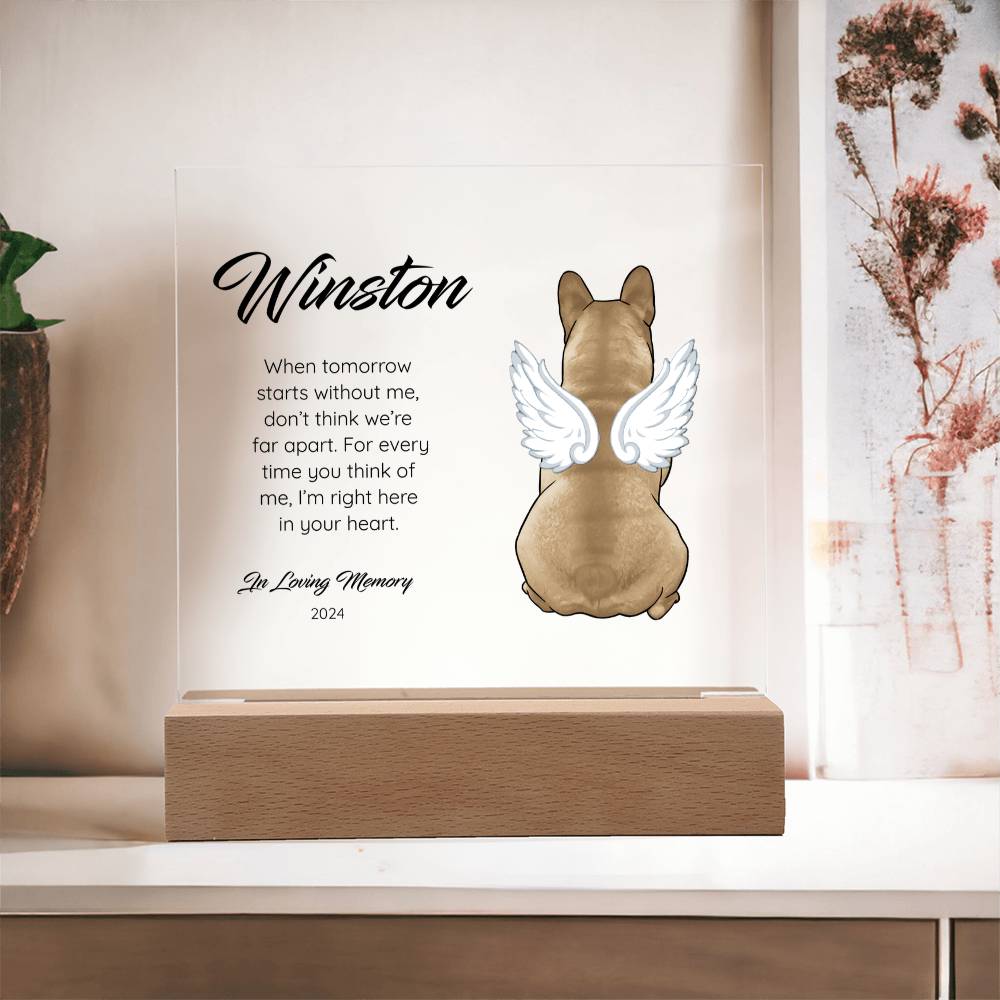 Frenchie - Memorial Acrylic