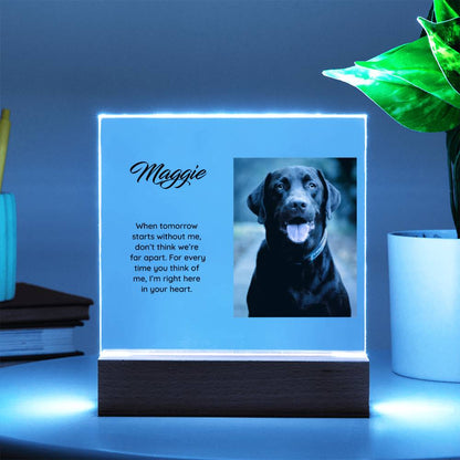 Acrylic Square Plaque