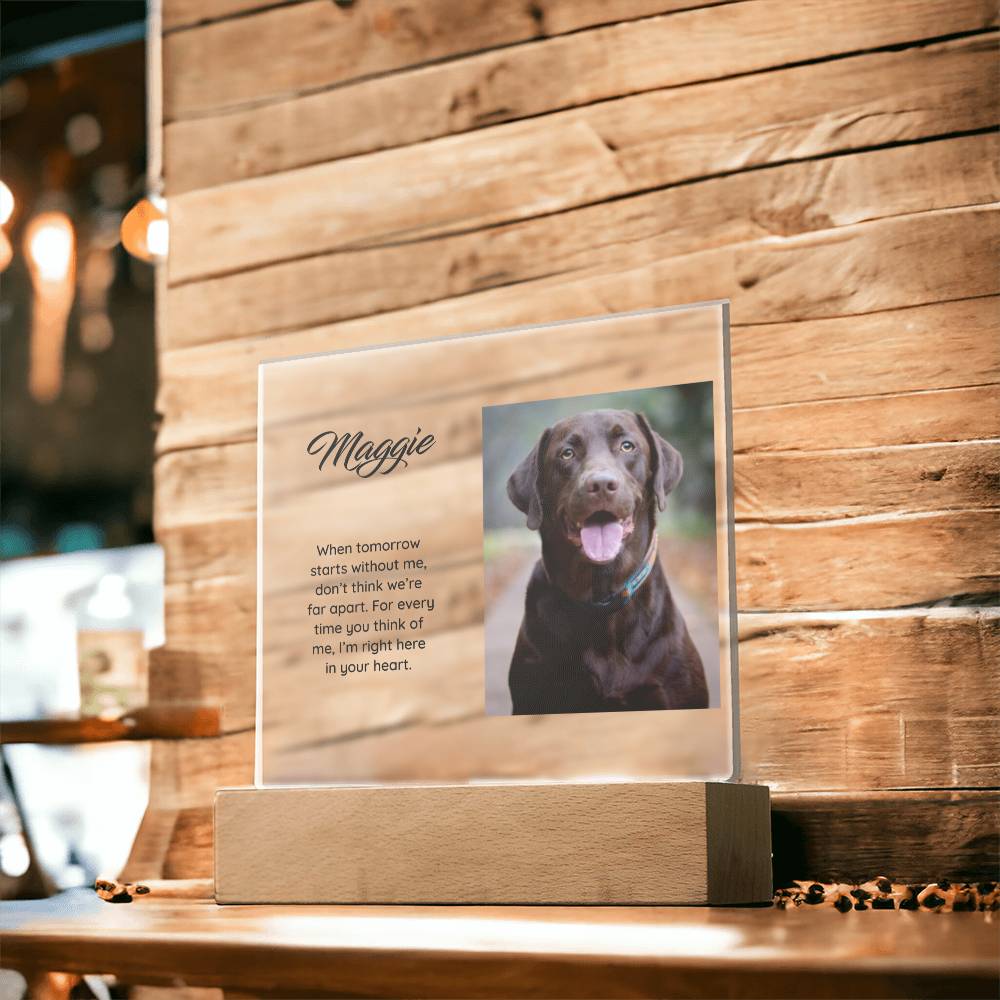 Acrylic Square Plaque