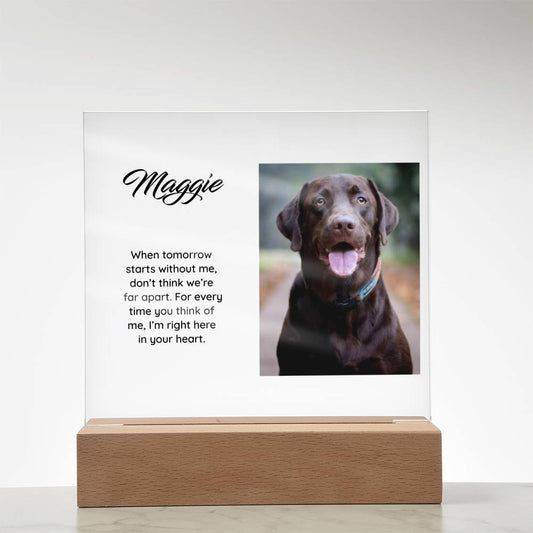 Acrylic Square Plaque